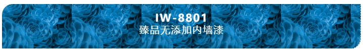 6.png